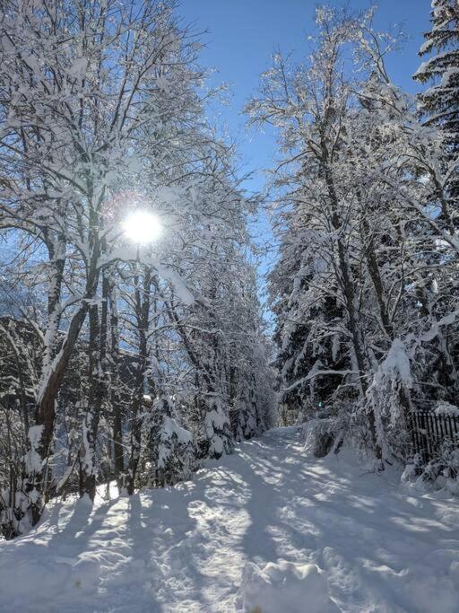 Chalet L'Ilet Ensoleille /Sunny Island Chalet Chamonix Buitenkant foto